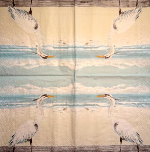 020 Stork - 3-ply - CS